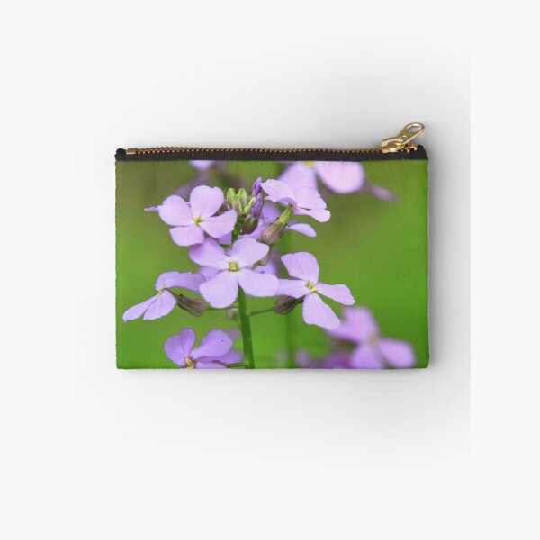 Item preview, Wild Flowers (Dame’s Rocket - Hesperis matronalis) designed and sold by Yannik Hay.