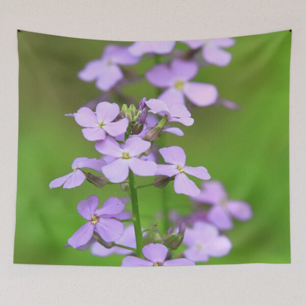 Item preview, Wild Flowers (Dame’s Rocket - Hesperis matronalis) designed and sold by Yannik Hay.
