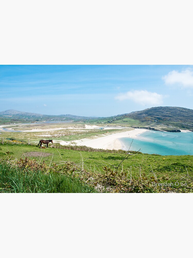 "Barleycove, Cork, Ireland" Photographic Print for Sale by SumiA