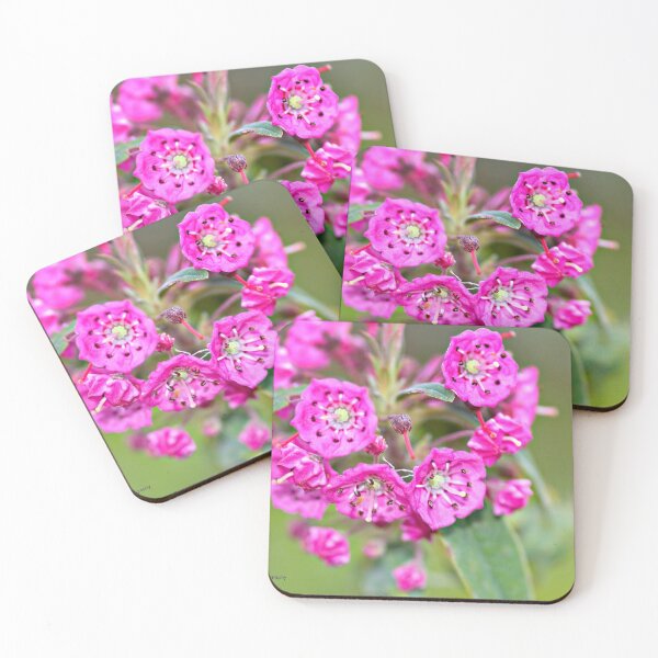 Item preview, Bog Laurel designed and sold by Yannik Hay.