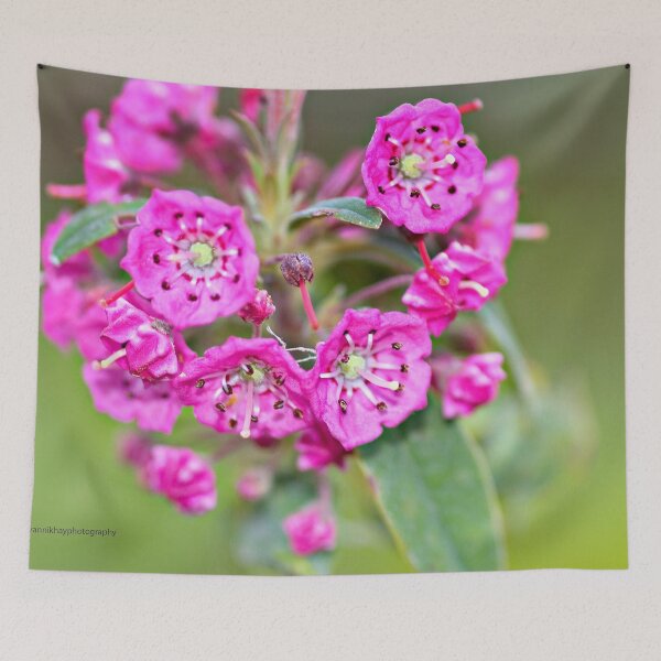 Item preview, Bog Laurel designed and sold by Yannik Hay.