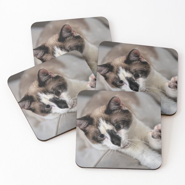 Item preview, Stretching Snowshoe Cat designed and sold by Elisabeth Lucas.