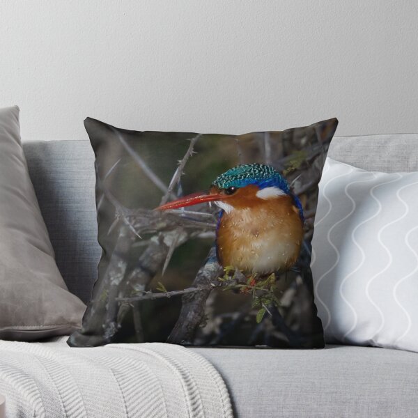 Item preview, Malachite Kingfisher designed and sold by Michael Moss Photography.