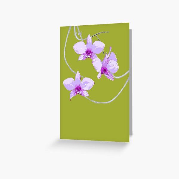 Tarjetas de felicitación «Orquídea Cooktown (Dendrobium Phalaenopsis) en  gris» de ChrissyWild | Redbubble