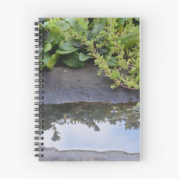 Item preview, Sedum, Ajuga and reflections designed and sold by NatureWaltzArts.