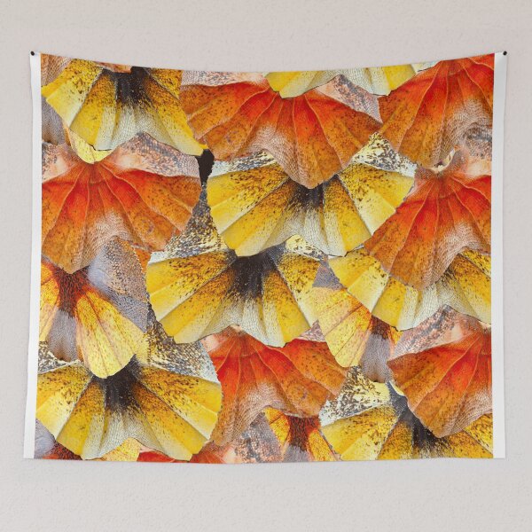 Item preview, Frilled neck lizard (Chlamydosaurus kingii) Skin Design designed and sold by ChrissyWild.