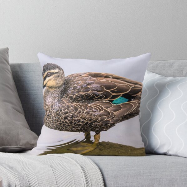 Item preview, Pacific Black Duck designed and sold by Bruce Reardon.