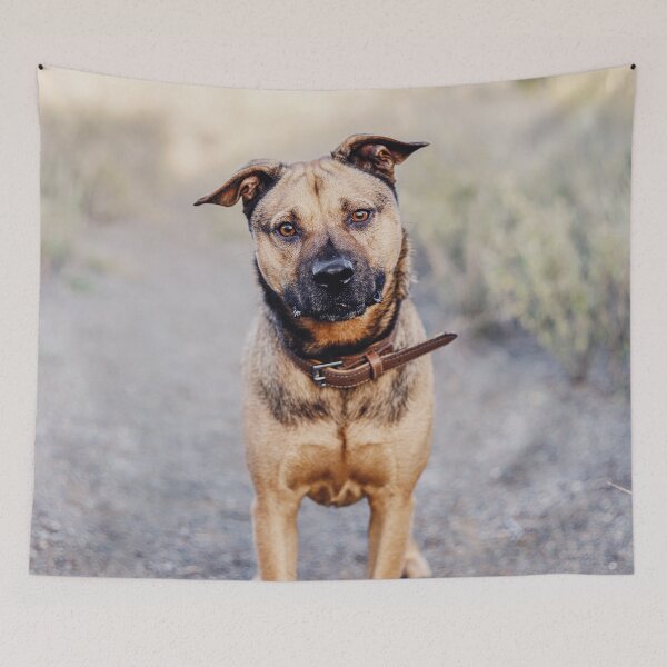 Item preview, guard dog designed and sold by wolfgangrainer.