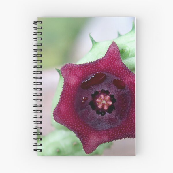 Item preview, cactus flower designed and sold by lensbaby.