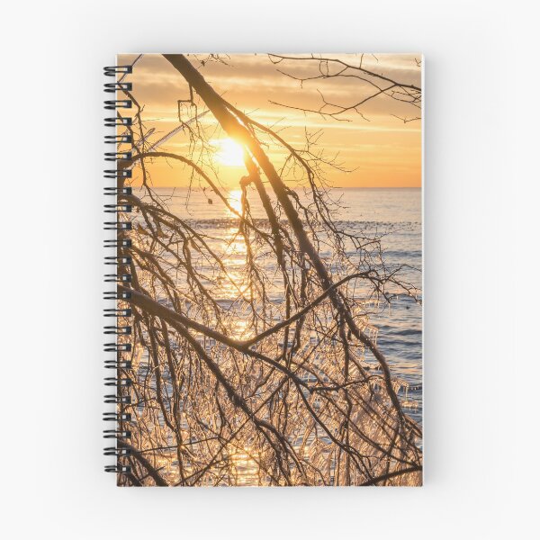 Item preview, Lacy Ice Screen - Sunrise Sub-Framed with a Filigree of Frozen Branches designed and sold by Georgia Mizuleva.