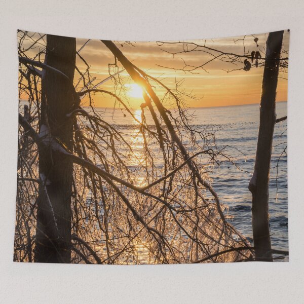 Item preview, Lacy Ice Screen - Sunrise Sub-Framed with a Filigree of Frozen Branches designed and sold by Georgia Mizuleva.