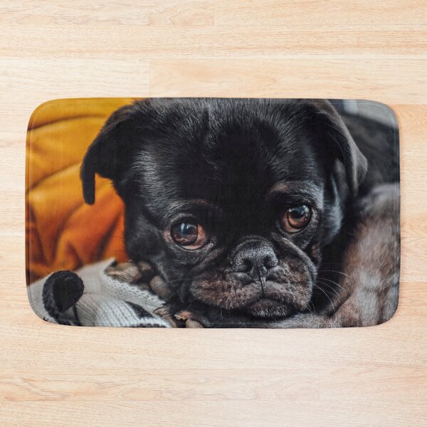 Item preview, Young pug designed and sold by wolfgangrainer.