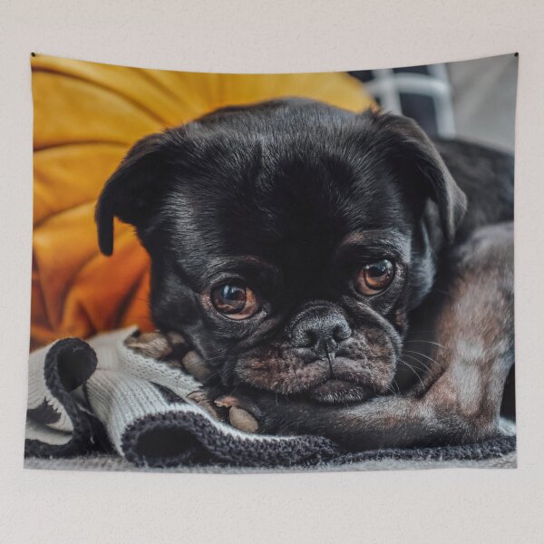 Item preview, Young pug designed and sold by wolfgangrainer.