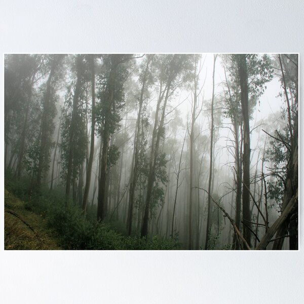 Item preview, In the mist of clouds,Victoria designed and sold by elphonline.
