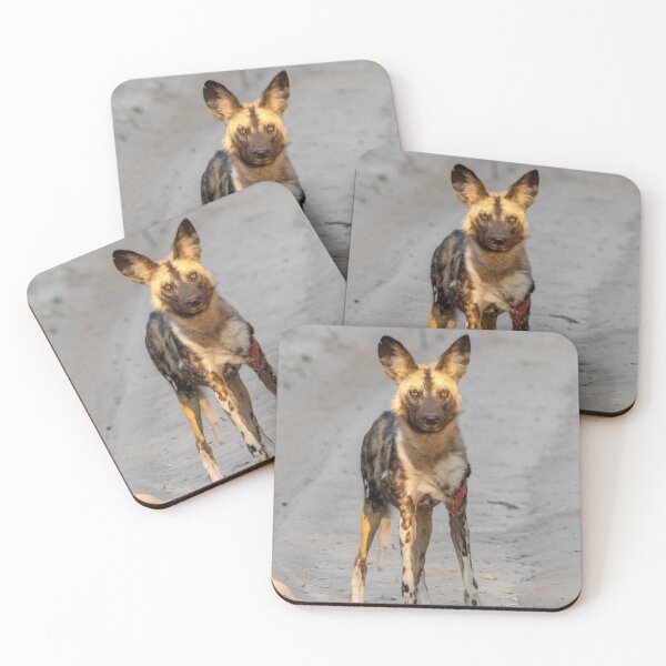 Item preview, African Painted Dog, Hwange, Zimbabwe designed and sold by Andrew Goodall.
