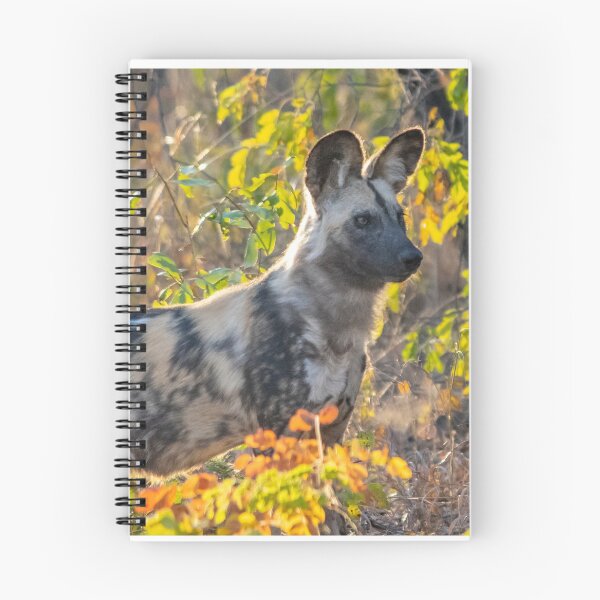 Item preview, African Painted Dog #2, Hwange National Park, Zimbabwe designed and sold by Andrew Goodall.