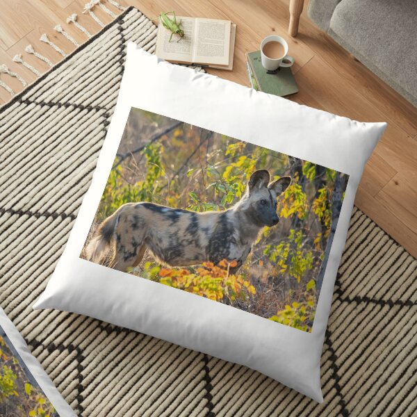 African Painted Dog #2, Hwange National Park, Zimbabwe Floor Pillow