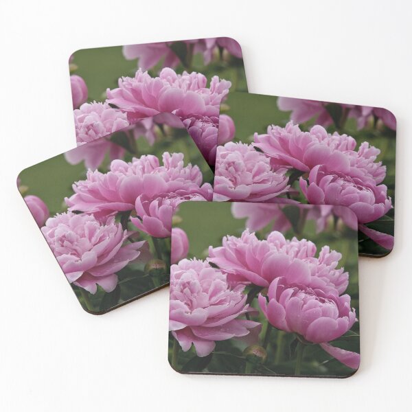 Item preview, Peony designed and sold by Michael Cummings.