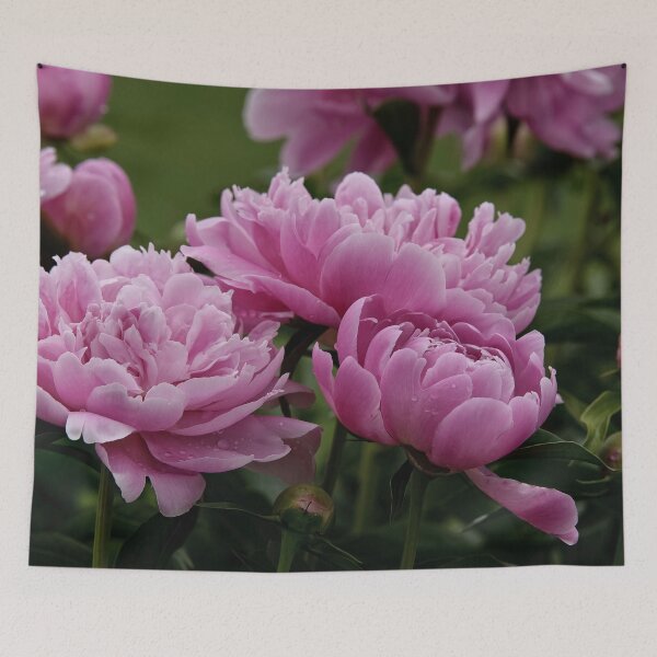Item preview, Peony designed and sold by Michael Cummings.
