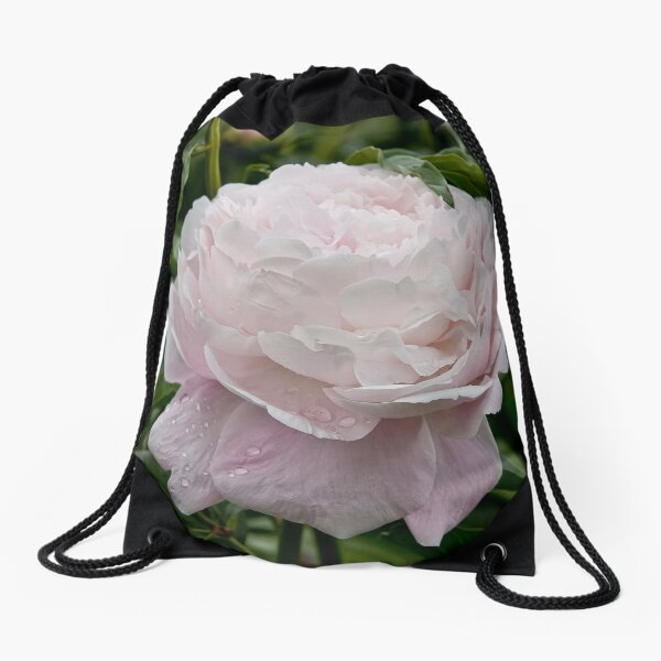 Item preview, Peony designed and sold by Michael Cummings.