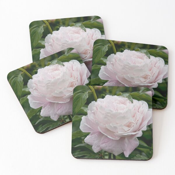 Item preview, Peony designed and sold by Michael Cummings.