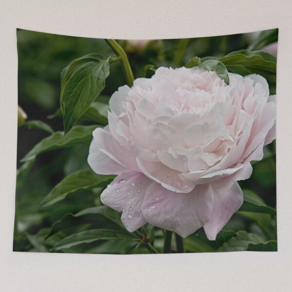 Item preview, Peony designed and sold by Michael Cummings.