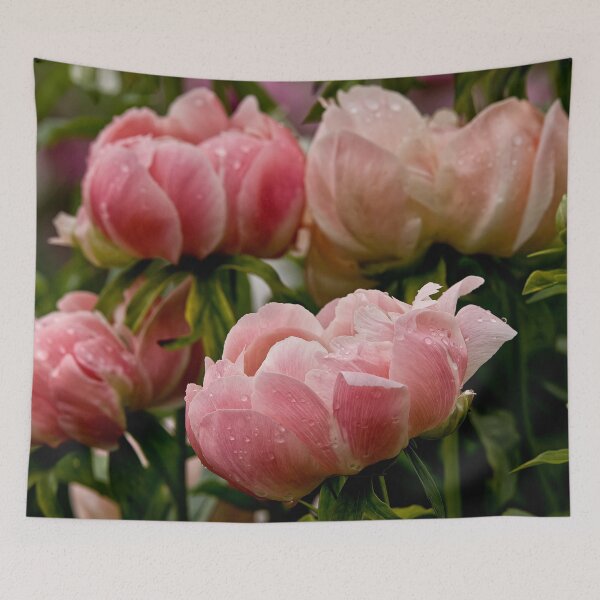 Item preview, Peony designed and sold by Michael Cummings.