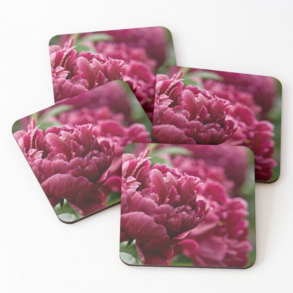 Item preview, Peony designed and sold by Michael Cummings.