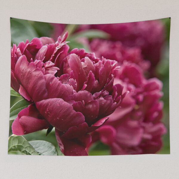 Item preview, Peony designed and sold by Michael Cummings.
