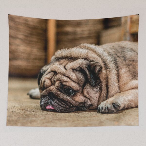 Item preview, Sleeping pug designed and sold by wolfgangrainer.