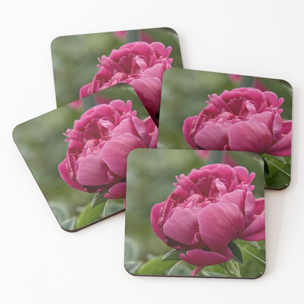 Item preview, Peony designed and sold by Michael Cummings.