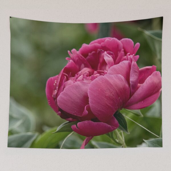 Item preview, Peony designed and sold by Michael Cummings.