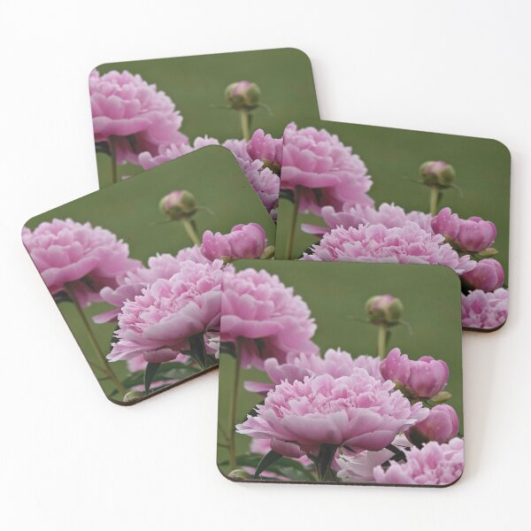 Item preview, Peony designed and sold by Michael Cummings.