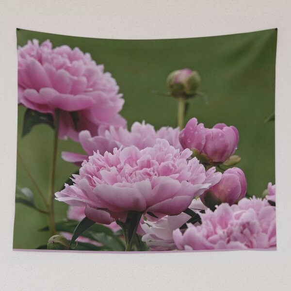 Item preview, Peony designed and sold by Michael Cummings.