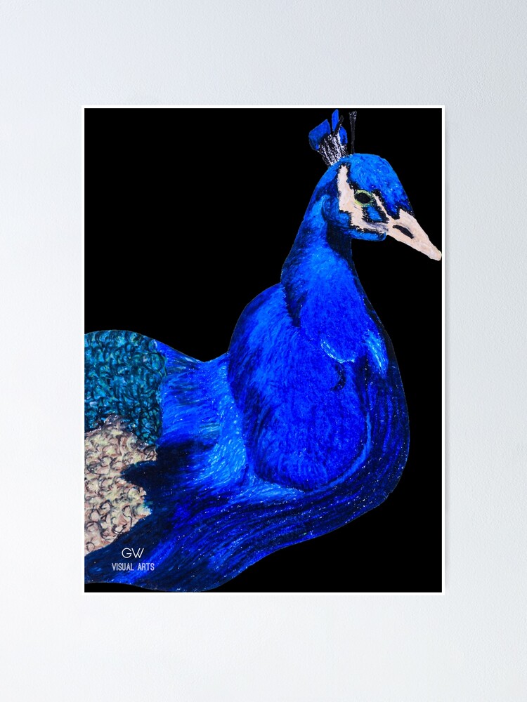 Peacock Portrait, Oil Pastel Drawing - Animal Kingdom Peacock Portrait, Oil Pastel Drawing - Animal Kingdom