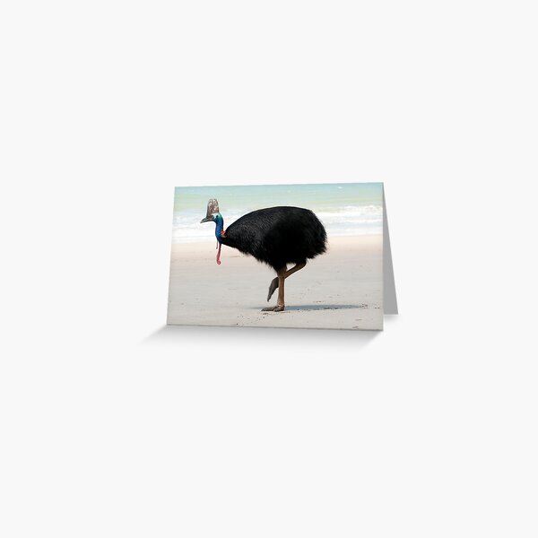Etty Bay Cassowary 2 Greeting Card