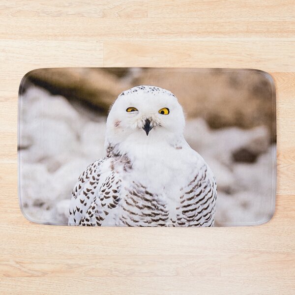 Item preview, Snowy Owl designed and sold by Patty Doublet Photography.