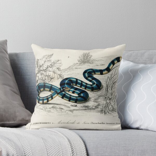 Artikelvorschau, Snakes vintage illustration  entworfen und verkauft von Vintage Designs +.