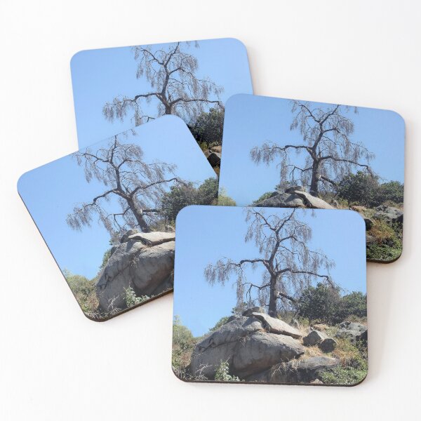 Item preview, Nature's Artwork, California USA  designed and sold by heatherfriedman.