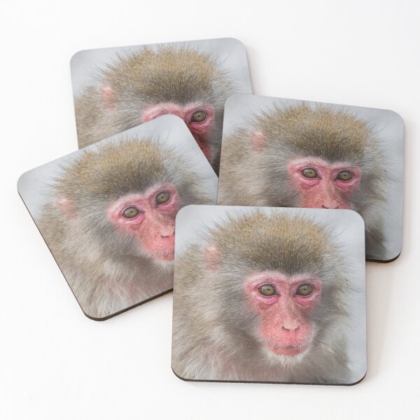 Item preview, Japanese Macaque, (Macaca Fuscata) designed and sold by Martin Leber.