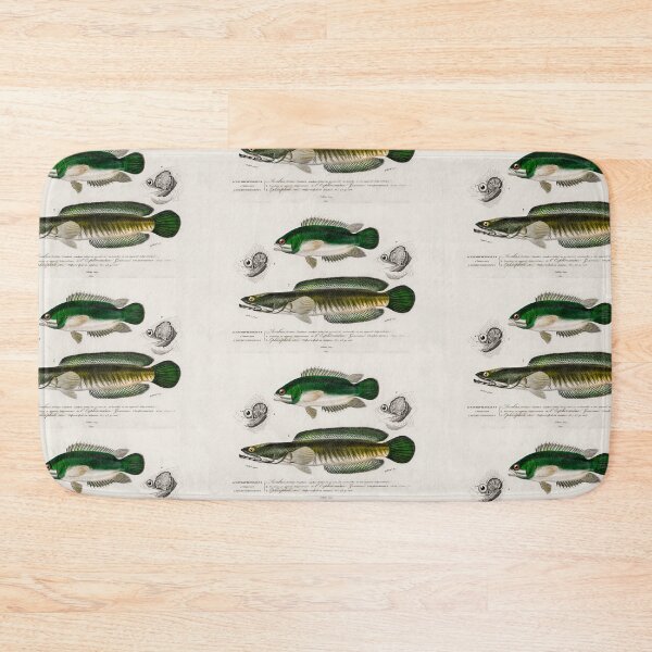 Item preview, Snakehead fish vintage illustration  designed and sold by Vintage Designs +.