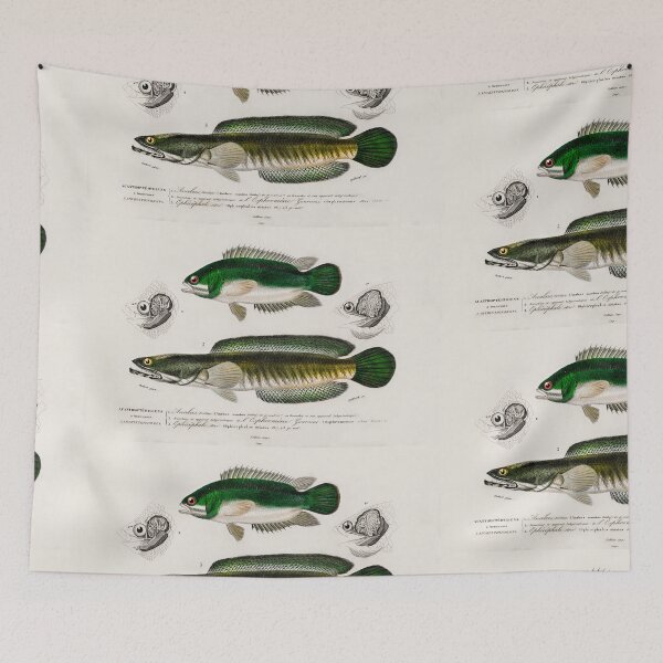 Item preview, Snakehead fish vintage illustration  designed and sold by Vintage Designs +.