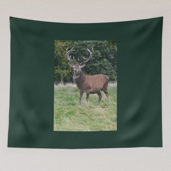 Item preview, The Ruttting Season designed and sold by Carla Maloco.