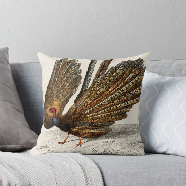 Artikelvorschau, Pheasant Bird vintage illustration  entworfen und verkauft von Vintage Designs +.