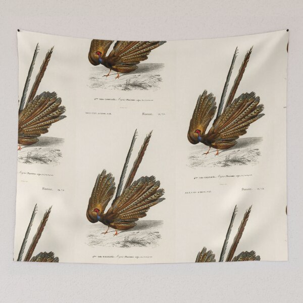 Aperçu de l'œuvre Pheasant Bird vintage illustration créée et vendue par Vintage Designs +.