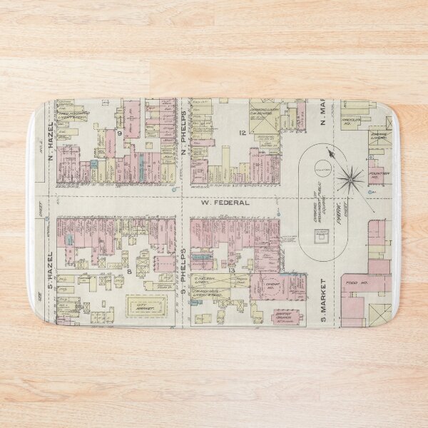 Item preview, West Federal Street, Youngstown, 1884 designed and sold by Metro Monthly Department Store.