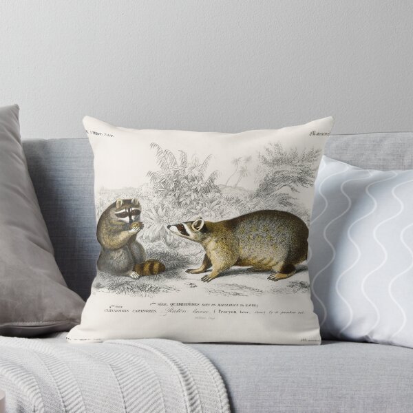 Item preview, Raccoons vintage illustration designed and sold by Vintage Designs +.