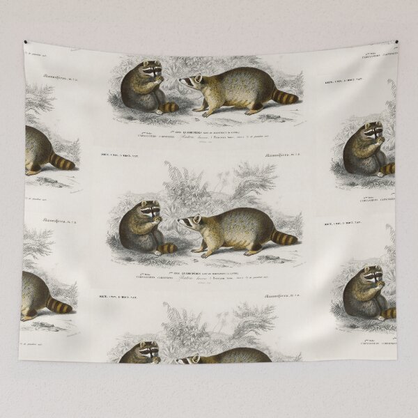 Artikelvorschau, Raccoons vintage illustration entworfen und verkauft von Vintage Designs +.