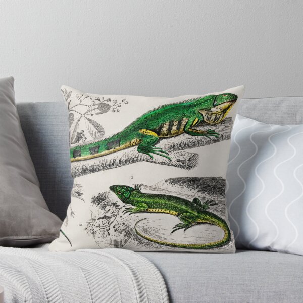 Item preview, Iguana lizard vintage illustration designed and sold by Vintage Designs +.