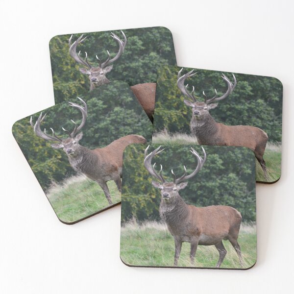 Item preview, The Ruttting Season designed and sold by Carla Maloco.